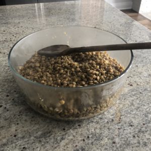 Bowl of Lentils