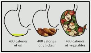 Whole Foods Plant Based Depiction of calories for different intakes